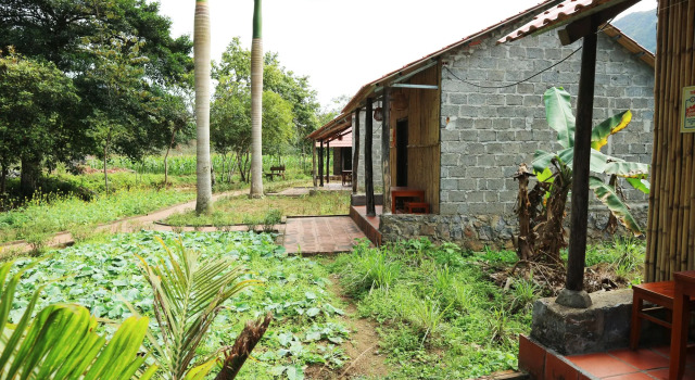 Long Phuong Homestay, Buchen Sie Hotel Cát Bà Nationalpark Cát Bà