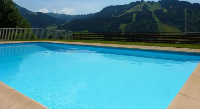 Appartement Morzine, 2 pièces, 4 personnes - FR-1-524-75, Забронировать Апартаменты/квартира Апартаменты Морзин, рядом с Горнолыжный подъемник Мас Вержю, Апартаменты/квартира