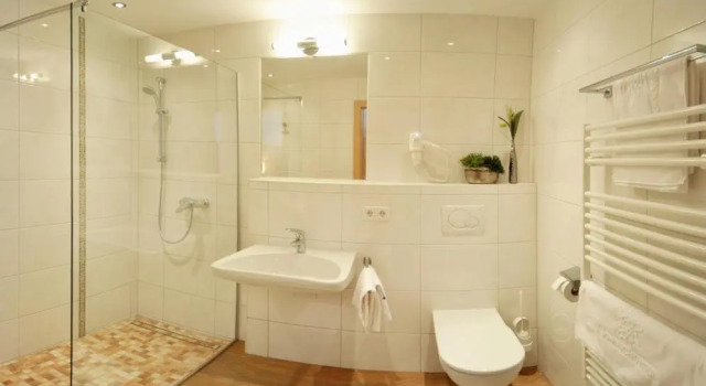Номер Standard Hotel Sonnschupfer