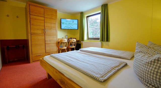 Habitación doble Estándar Hotel Waldmann