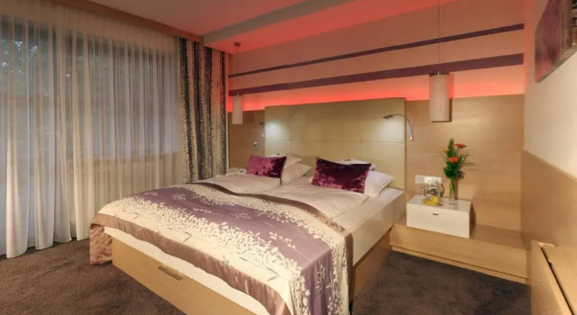 Одноместный номер Superior Hotel LENAUHOF - nur 3 Minuten zur Rottal Terme