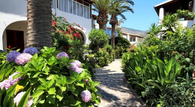 Студия Hotel Residence Mendolita