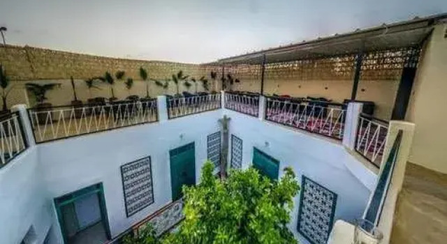 Kaktus Hostel