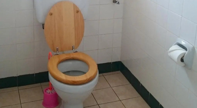 Номер Standard Hotel Acacia City