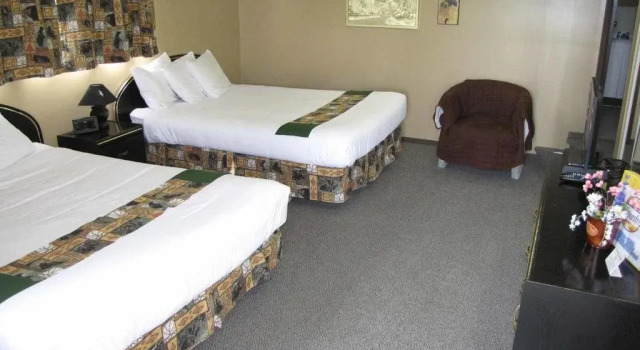 Bear Country Inn and Suites