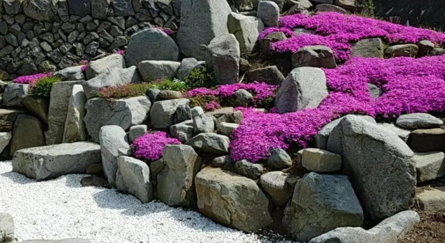 Коттедж Siawase no yado - Vacation STAY 68283v