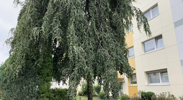 Domapartment Airport Koeln-Bonn, Забронировать Апартаменты/квартира Апартаменты Тросдорф, Апартаменты/квартира