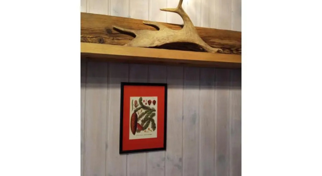 Студия Studio Abete Rosso 500m From Ski