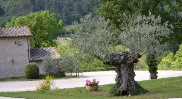 Valle Rosa Country House, Varaa Lomakoti Spoleto Umbria