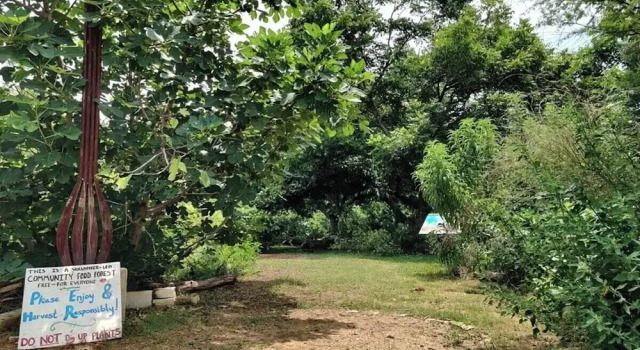 Коттедж East Austin Bungalow w Bbq, Firepit, Fun Yard