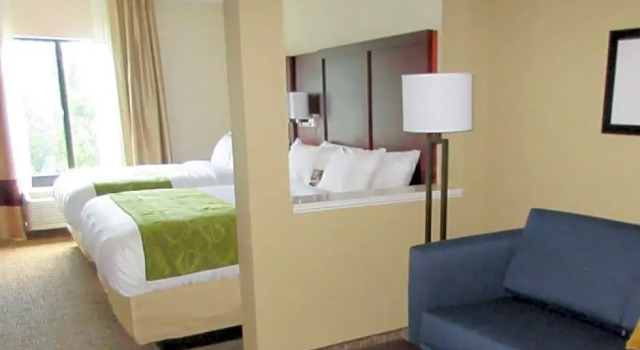 Семейный люкс Comfort Suites Piedmont - Greenville South