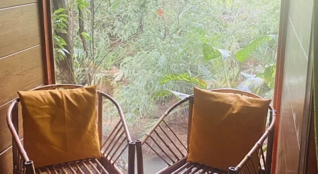Номер Economy Guest House Pura Vida