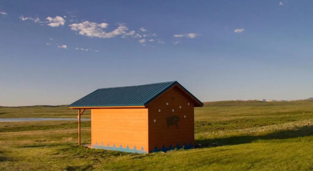 Номер Standard Lodgepole Gallery