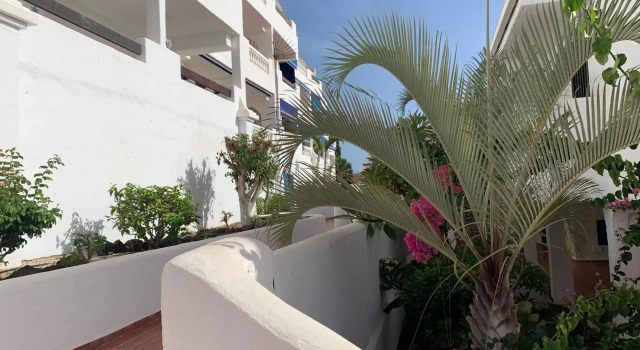 Sunny Tenerife, Los Cristianos, Studio, Réserver Hôtel Los Cristianos Costa Adeje