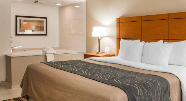 Comfort Inn Metro Airport