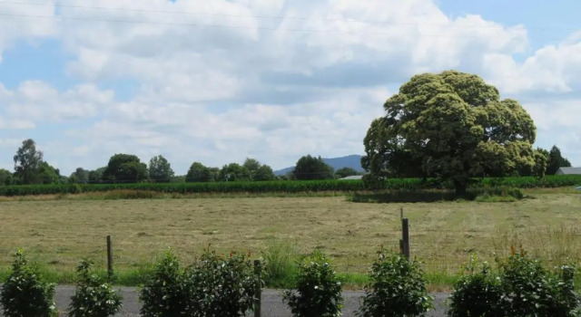Walnut Lodge B&B, Buchen Sie Bed & Breakfast Matamata Waikato