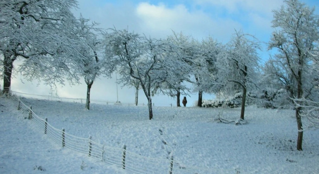 Tout Petit Gîte Laval