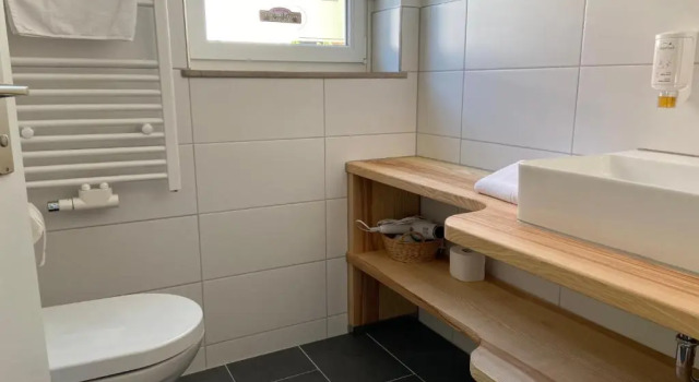 Двухместный номер Standard Aparthotel Schwarzwald Panorama