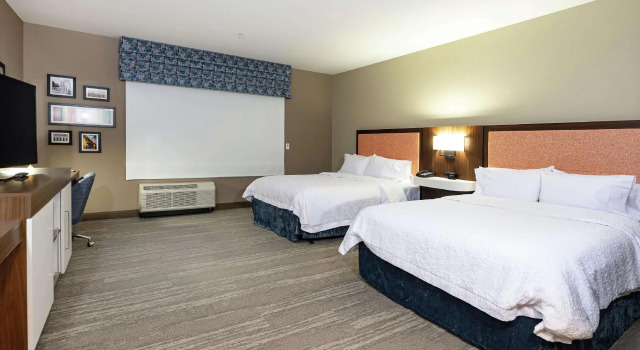 Четырёхместный номер Standard Hampton Inn & Suites Columbia Killian Road