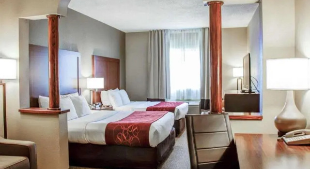 Одноместный номер Standard Comfort Suites Lombard - Addison