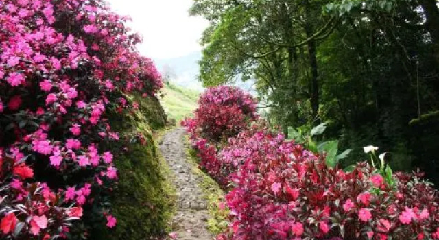 Hacienda las Nubes, Rezerwuj Hotel Cerro Punta Chiriqui