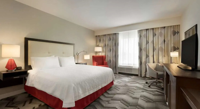 Standard Zimmer Hampton Inn Spring Hill, TN