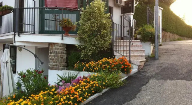 B&B Panorama