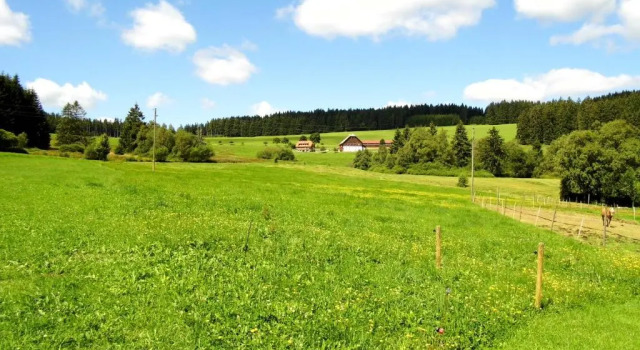 Ferienwohnung Schwarzwaldhof, Réserver Hôtel Titisee-Neustadt Feldberg
