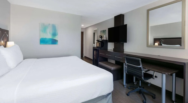 Двухместный номер Standard Wyndham Corpus Christi Resort North Padre Island