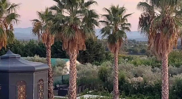 Коттедж Petite Chambre Confort Piscine Jardin vue Palmraie