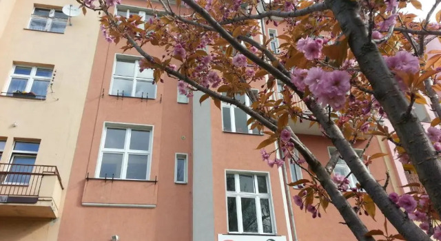 Апартаменты Café Dlask