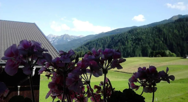 Номер Standard Pension Anderlehof