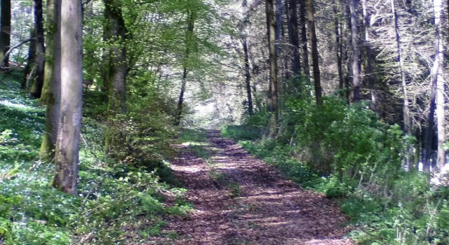 Апартаменты Landferien Eifel