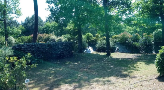 Номер Standard с 2 комнатами Camping Les Pins de Sel
