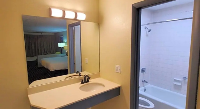Люкс Palmetto Inn & Suites