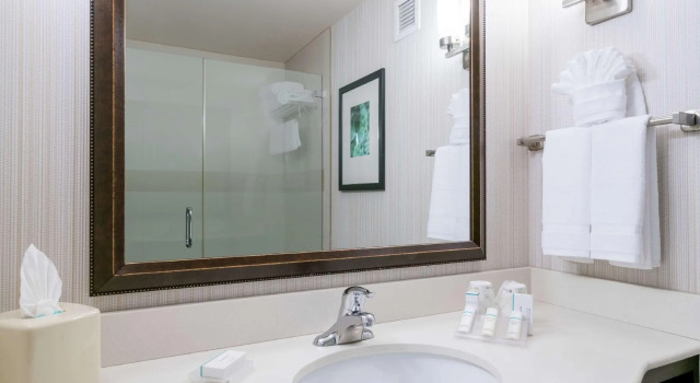 Двухместный номер Standard Hilton Garden Inn Valley Forge/Oaks