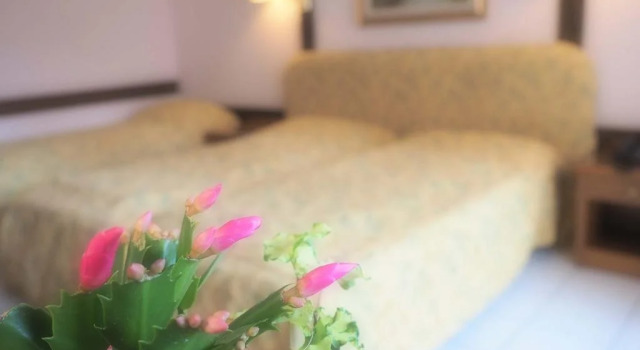 Hotel Patrizietta