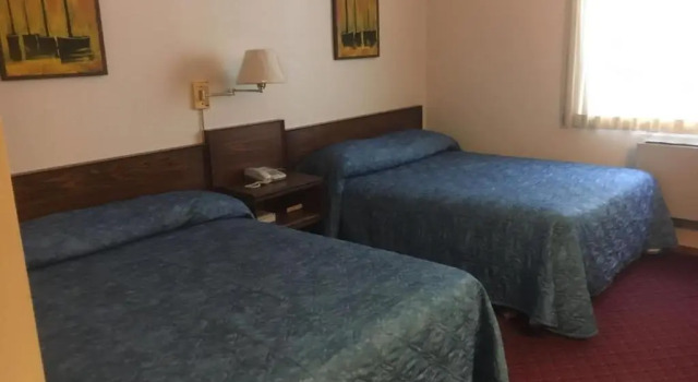 Четырёхместный номер Standard Royal Hotel