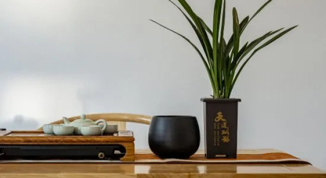 Suite ZUOWANG