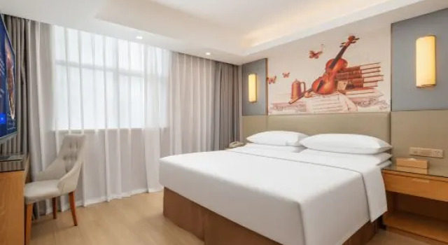 Люкс Vienna Hotel ( Guanlanhu station Shanshui Tianyuan)