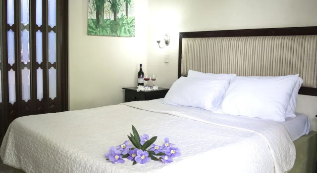 Двухместный номер Standard с видом на сад Hotel LUZ de LUNA Bahía Ballena