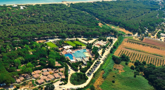 Бунгало Bungalow in Castiglione Della Pescaia With Sauna