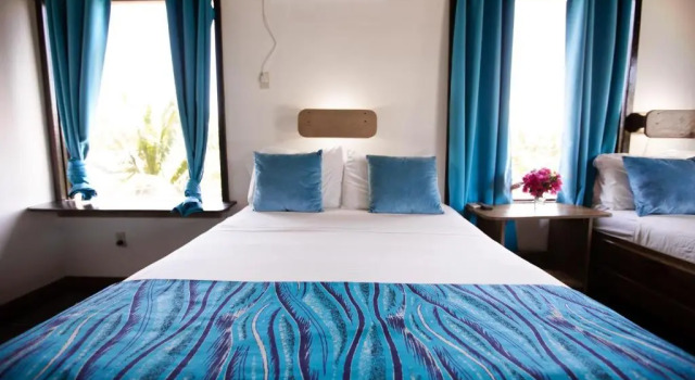 Deluxe Double room Mango Inn Resort