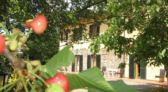Апартаменты Agriturismo Il Gelso