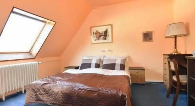 Standaard kamer Hotel Žalý