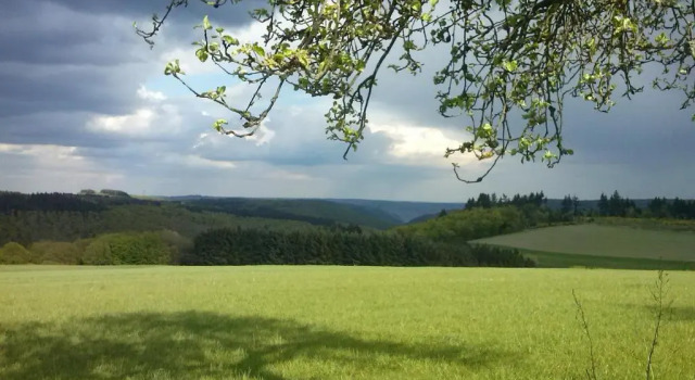 Hotel Haus Christa, Забронировать Отель Бад-Бертрих Vulkan Eifel, рядом с Вульканайфельские термальные источники