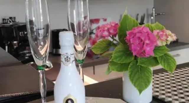 5 Sterne Ferienwohnung - Am Rheinberg -