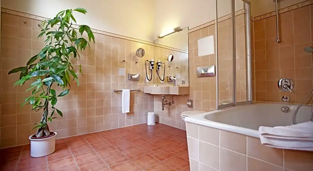 Номер Standard Drexel´s Parkhotel