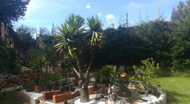 Номер Standard Cabaña en el arbol La Calera