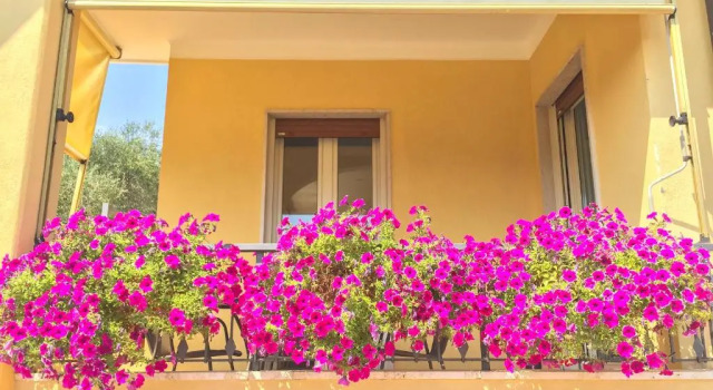 Апартаменты Superior Appartamenti Villa il Poggiolo
